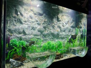 Foto: Akuarium Ajaib di Seaworld