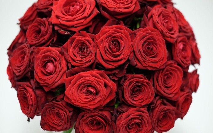 Ini Buket Bunga  Paling Mahal  untuk Hari Valentine 
