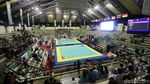 Indonesia Raih Emas dari Pencak Silat Putra