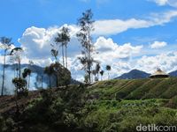 Selamat datang di Desa Ugimba (Afif Farhan/detikcom)