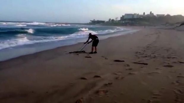 Ular Paling Berbisa Sedunia Hampir Celakai Turis di Afsel