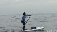 Menteri Susi mendekati hiu paus dengan menaiki paddle board, papan selancar dengan bantuan dayung. (Foto: M Rofiq)