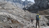 Ada pula yang menjadi porter untuk mendaki Punxak Cartensz, salah satu Seven Summits dunia, puncak tertinggi di Indonesia dengan ketinggian 4.884 mdpl. (Afif Farhan/detikTravel)