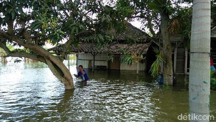 Sudah 3 Bulan 1.471 Rumah Warga di Demak Ini Tergenang Banjir