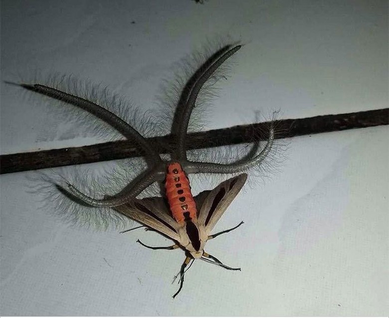 Ketika Netizen Punya Jawaban Untuk Semua Pertanyaan Foto 6