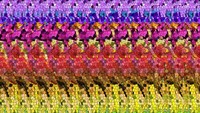 Stereogram adalah ilusi optik yang menyembunyikan sebuah gambar tiga dimensi dan hanya dapat dilihat dengan metode tertentu. Bisa temukan gambar yang tersembunyi dari stereogram yang satu ini? Untuk menemukannya, kamu harus mempraktekan sejumlah cara. (Foto: Internet)