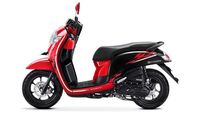 Honda Scoopy