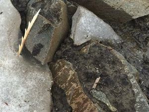 Foto: Langka, Panah Berusia 900 Tahun Ditemukan di Kanada