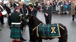 Saat Pangeran Harry Nyaris Digigit Kuda Poni di Edinburgh