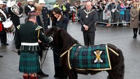 Mereka disambut oleh kuda poni yang merupakan maskot Royal Regiment of Scotland