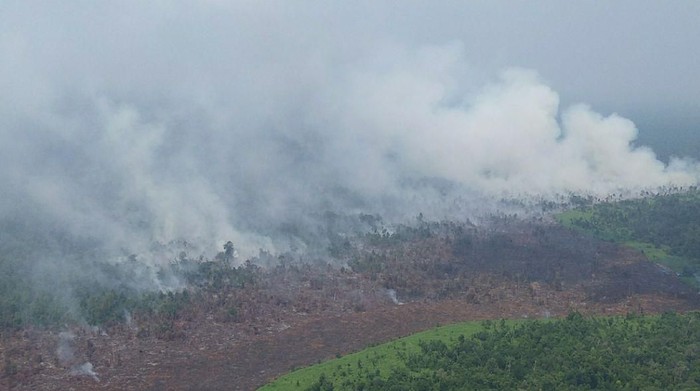 Puluhan Hektare Lahan di Kabupaten Meranti Riau Terbakar