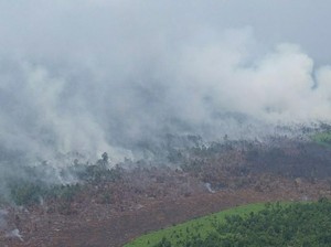 Puluhan Hektare Lahan di Kabupaten Meranti Riau Terbakar