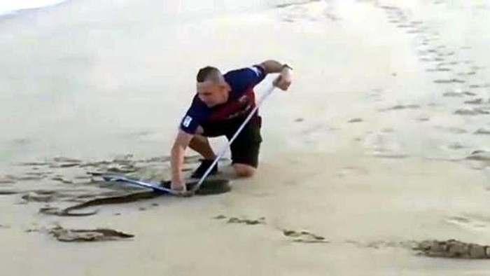 Ular Paling Berbisa Sedunia Hampir Celakai Turis di Afsel