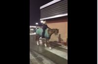 Unik! Wanita Ini Kendarai Kuda untuk Pesan Menu Wendy's Lewat Drive-Thru