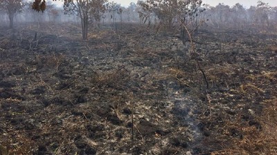 Hangus Berasap, Penampakan 135 Hektare Terbakar di Meranti Riau