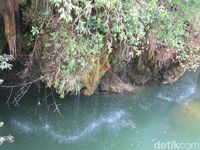 Ada pemandangan secantik ini di sana 