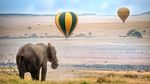 Foto: Diajak Wisata Valentine ke Sini, Dijamin Susah Nolak