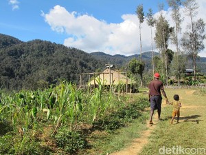 Mengenal 7 Suku yang Hidup di Sekitar Tambang Freeport