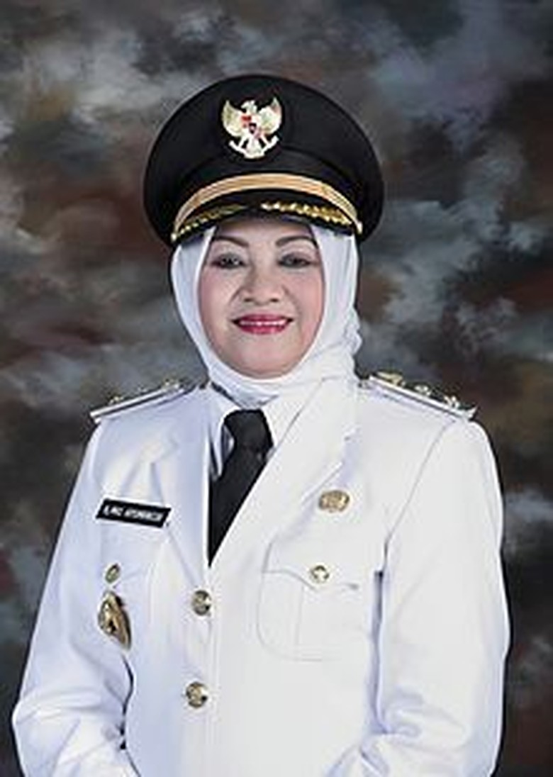 Kena OTT KPK, Bupati Subang Punya Harta Kekayaan Rp 50,9 Miliar Kena OTT KPK, Bupati Subang Punya Harta Kekayaan Rp 50,9 Miliar
