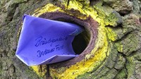 Pohon Der Brautigamseiche atau kotak surat ini ada sejak 128 tahun yang lalu. Itu adalah tempat rahasia yang dimiliki oleh sepasang kekasih (BBC Travel)
