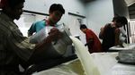 Melihat Peternakan Sapi Perah di Pamijahan Bogor