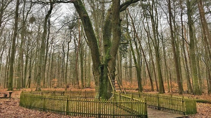 Kotak Pos Paling Romantis Sedunia, Jerman