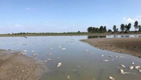 Warga juga diimbau agar berhati-hati saat mengambil air di kawasan ini karena khawatir telah terkontaminasi (Foto: Dok. Facebook Richie Benson via ABC News Australia)