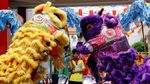 Anjing-anjing Lucu Bersolek Jelang Imlek di Filipina