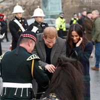Pada kesempatan itu, dua sejoli ini sempat bertemu dengan seekor kuda poni hitam milik penjaga kastil. Foto: Reuters