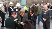 Saat mengelus kuda poni tersebut, Pangeran Harry sempat hampir digigit. Duh!