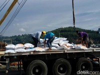 Impor Beras dan Sengkarut Data Bermasalah