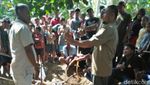 Foto: Seramnya Buaya Muara 600 Kg yang Ditangkap Warga Aceh Timur