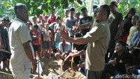  Banyak warga yang berdatangan melihat dan memotret buaya yang ditangkap ini dengan kamera handphone.