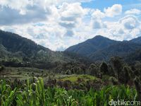 Lihat Lagi Ugimba, Desa Cantik di Pedalaman Papua