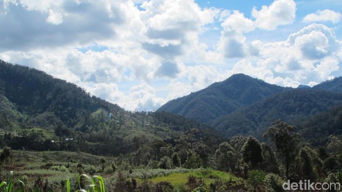 Desa Ugimba