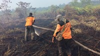 Foto: Kepala BPBD Riau, Edwar Sanger, menambahkan pihaknya saat ini sudah meminta bantuan heli super puma milik perusahaan swasta. Heli ini dibutuhkan untuk melakukan pemadaman lewat udara. Fotografer: Chaidir Anwar Tanjung/detikcom