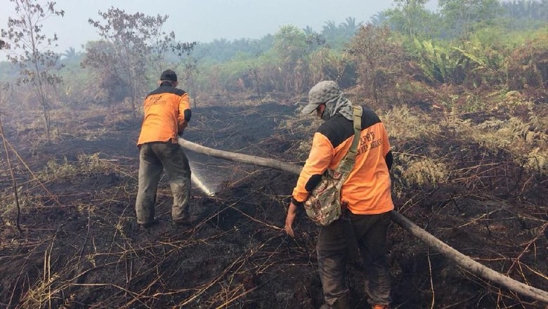 Kebakaran Lahan di Riau Capai 641 Hektare Kebakaran Lahan di Riau Capai 641 Hektare