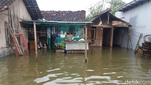 Sudah 3 Bulan 1.471 Rumah Warga di Demak Ini Tergenang Banjir