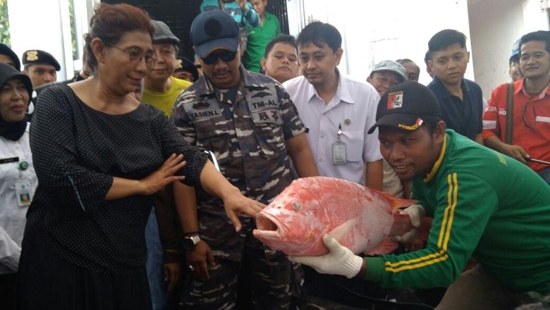 Menteri Susi Puas Hasil Ikan di Probolinggo, Sehari 300 Ton Menteri Susi Puas Hasil Ikan di Probolinggo, Sehari 300 Ton