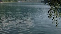 Kawasan Wonsan juga punya danau yang cantik! (Young Pioneer Tours/Instagram)