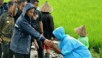 Kali ini Jokowi mengenakan jas hujan berwarna tua dengan payung yang dipegang oleh salah seorang anggota paspampres. Dok. Biro Pers Setpres.