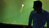 Daniel memberikan surprise ke Mikha dengan mengajaknya ke Jakarta Aquarium, Jakarta Barat. (Dok. Instagram/miktambayong)