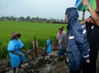  Pakai Jas Hujan, Jokowi Tinjau Proyek Padat Karya di Gowa