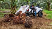 Butuh waktu sekitar tiga bulanan sejak akhir 2016 lalu untuk bisa mendesain kendaraan atau alat yang sesuai. Semua itu dikerjakan oleh tenaga-tenaga anak bangsa. Tak lama, prototype yang diinginkan pun selesai dikerjakan. Pool/CV Karya Hidup Sentosa.