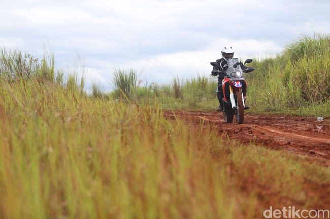 Bertualang Bersama Si Jangkung Honda CRF250 Rally
