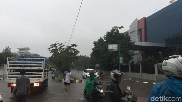 Ada pula yang setinggi mata kaki.