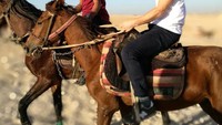 Selain posting foto di Instagram, Luqman juga menulis di dalam blog pribadinya. Dia sekarang sibuk menyelesaikan buku pertamanya. (luqmannieto/Instagram)