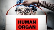 UU Baru: Warga Belanda Otomatis Akan Menjadi Donor Organ Tubuh