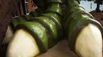 Foto: Beginilah Patung Dinosaurus yang Seperti Aslinya