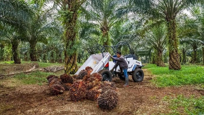 Dipesan 200 Unit Mobil Ndeso Ini Dibanderol Rp 57 Juta